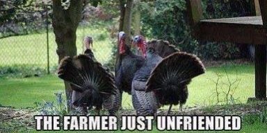 thanksgiving