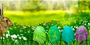 bunny and eggs